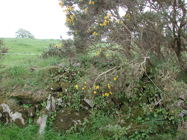 Boulteen F9.jpg 561.8K
